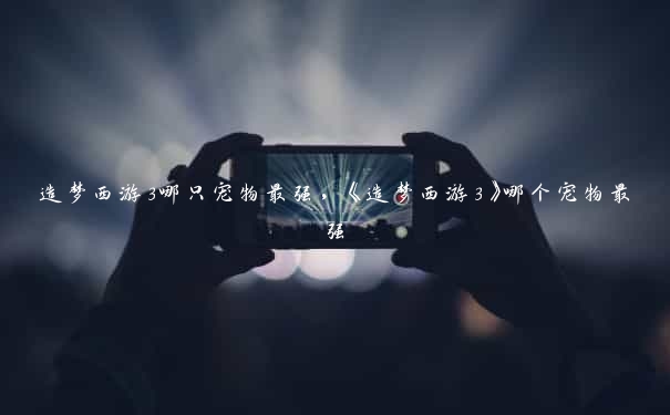 造梦西游3哪只宠物最强，《造梦西游3》哪个宠物最强